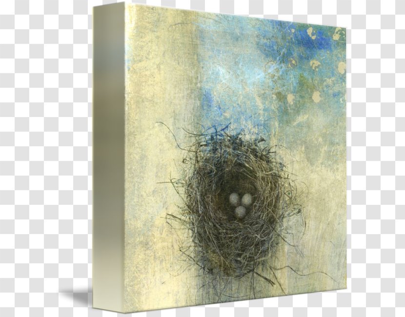 Bird Nest Photography - Painting Transparent PNG