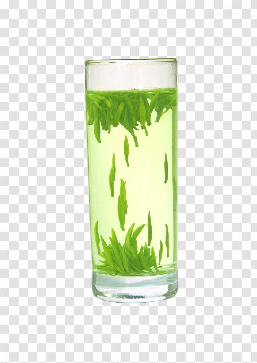 Green Tea Oolong Xinyang Maojian Cup - A Of Vector Material Transparent PNG