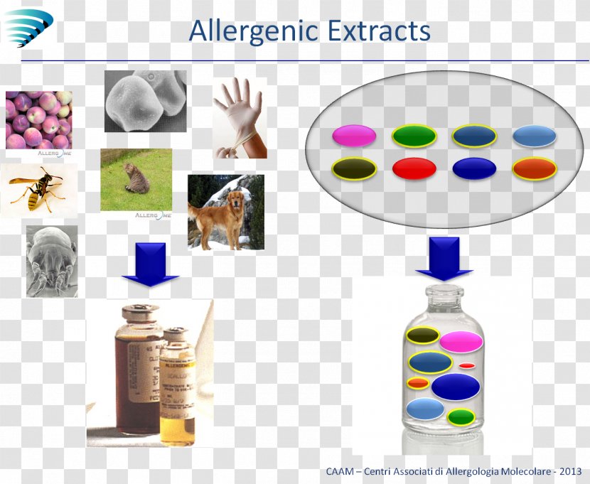 Molecular Biology Biotechnology Allergen Allergology - Allergy Transparent PNG
