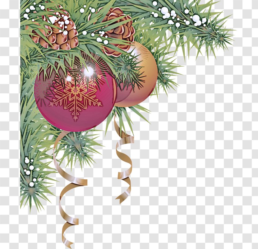 Christmas Ornament - Plant Fir Transparent PNG