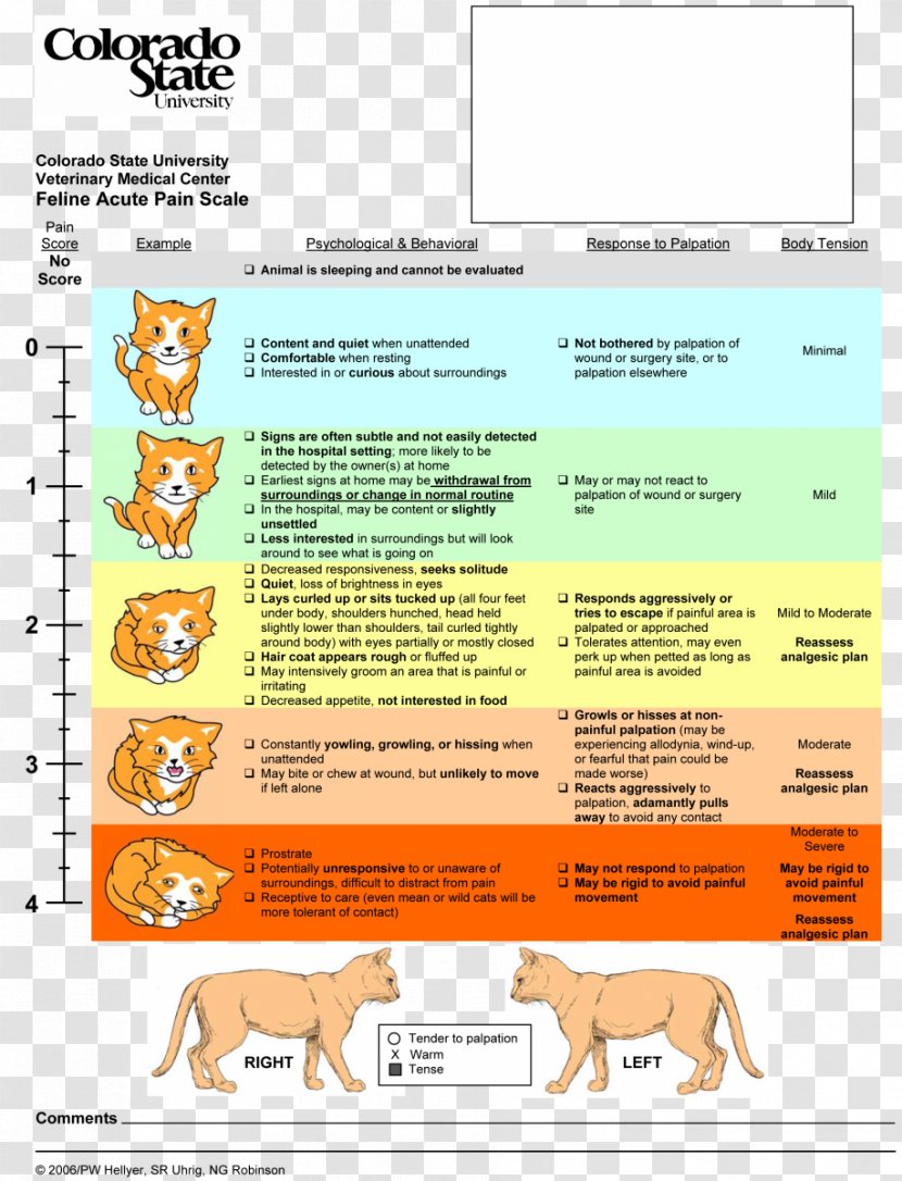 Cat Pain Scale Dog Management - Veterinarian - Feline Animal Transparent PNG