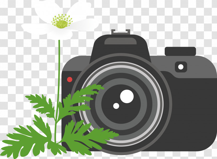 Camera Flower Transparent PNG