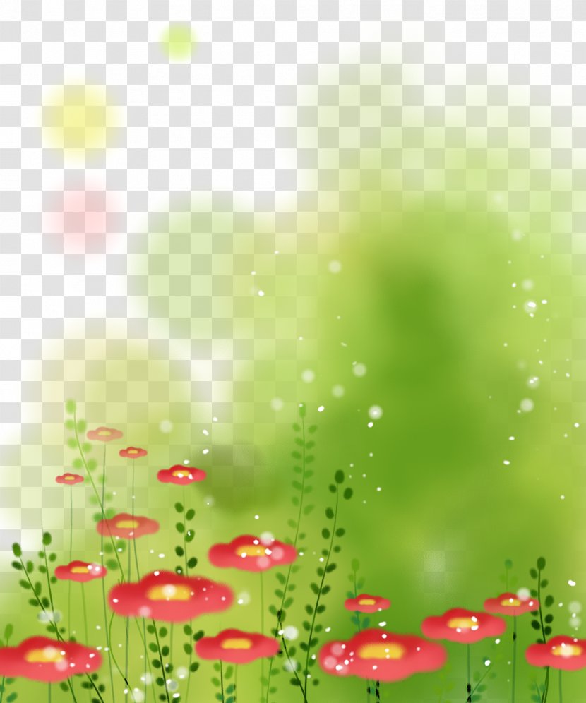 Flower Pattern - Meadow - Flowers Grass Transparent PNG