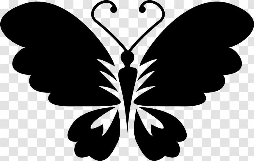 Butterfly Symbol Download Clip Art - Aporia Crataegi Transparent PNG