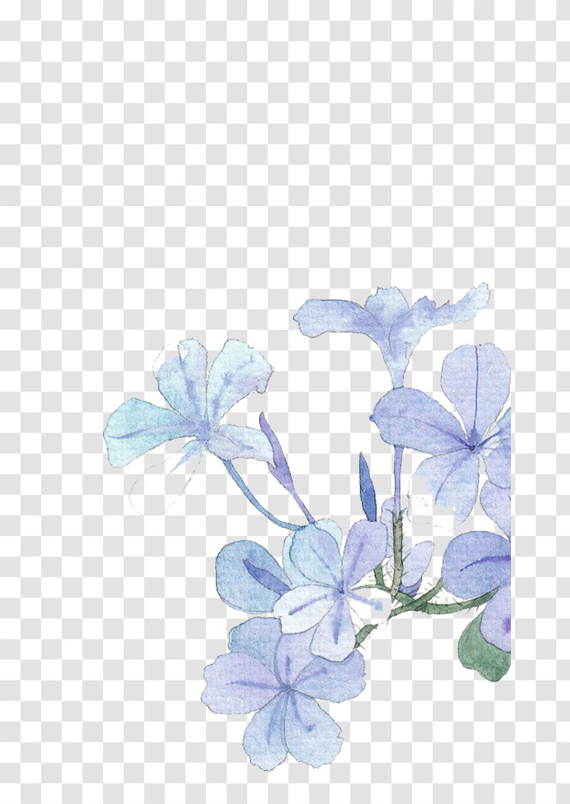 Blue Watercolor Painting Flower - Drawing - Flowers Transparent PNG