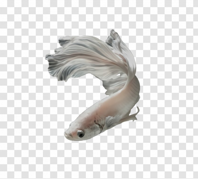 Fish Koi Tail Animal Figure Transparent PNG