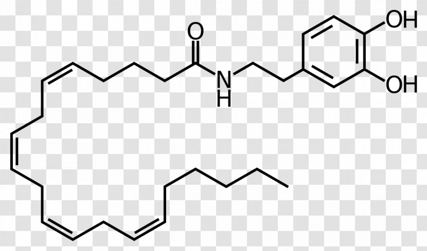 Adrenaline Neurotransmitter Agonist Norepinephrine Clip Art - Molecule - Symmetry Transparent PNG