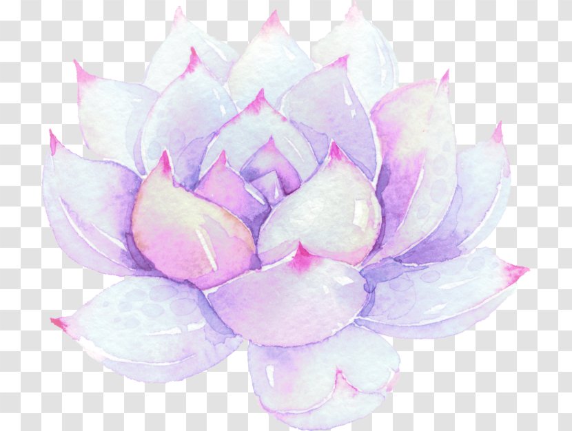 Watercolor Painting Sticker - Ink Transparent PNG