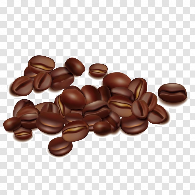 Coffee Bean Seed - Vector Beans Transparent PNG