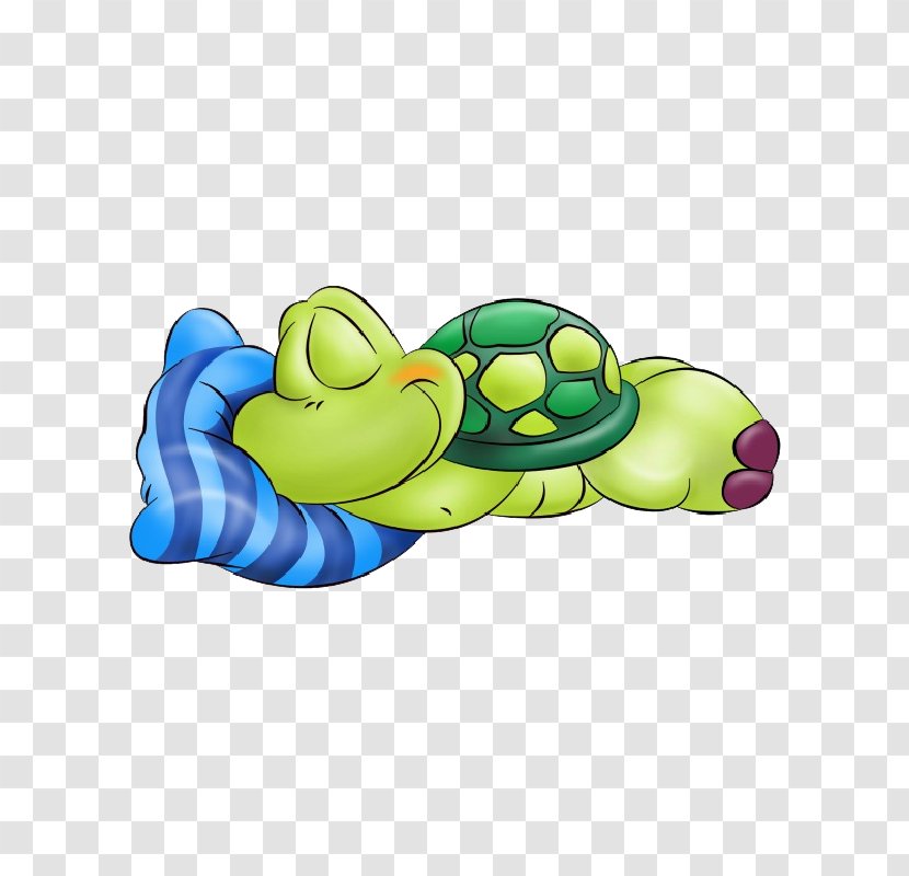 Turtle Cartoon Sleep Image Royalty-free - Humour - Baby Transparent PNG