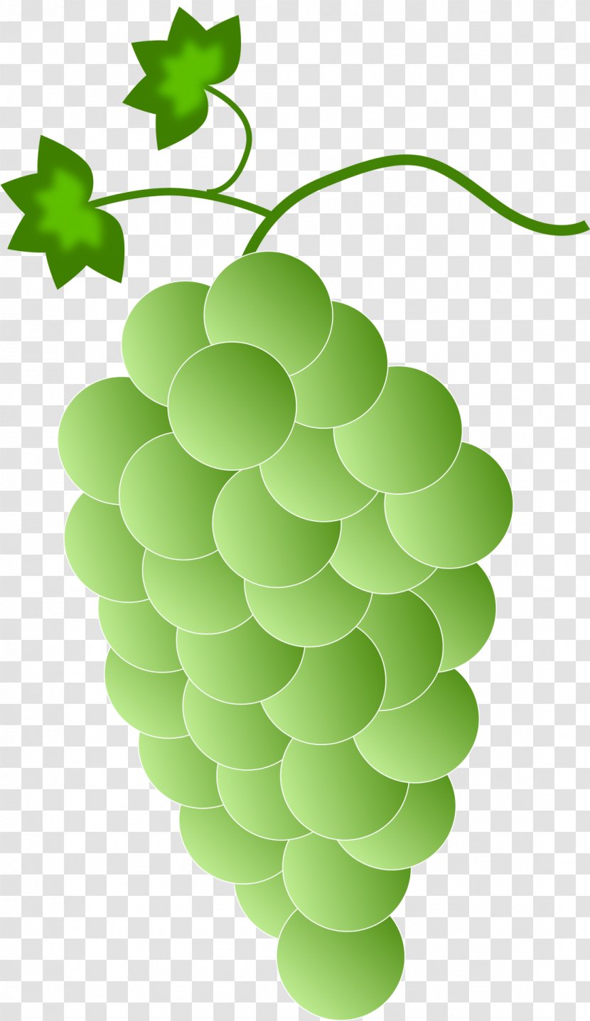 Red Wine Common Grape Vine Clip Art Transparent PNG