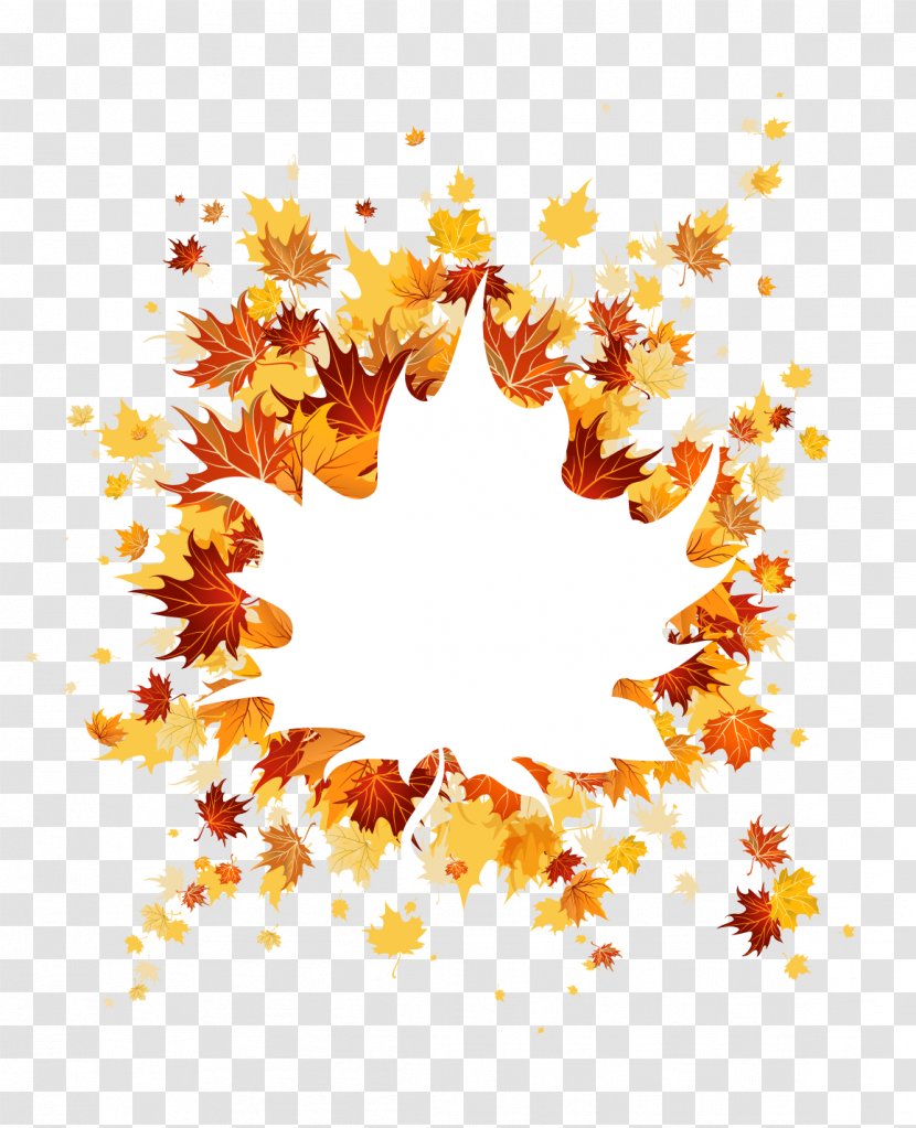 Creative Maple Leafs - Autumn Leaf Color - Pattern Transparent PNG