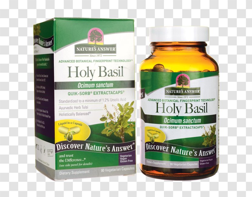 Dietary Supplement Herb Vegetarian Cuisine Perforate St John's-wort Capsule - Extract - Holy Basil Transparent PNG