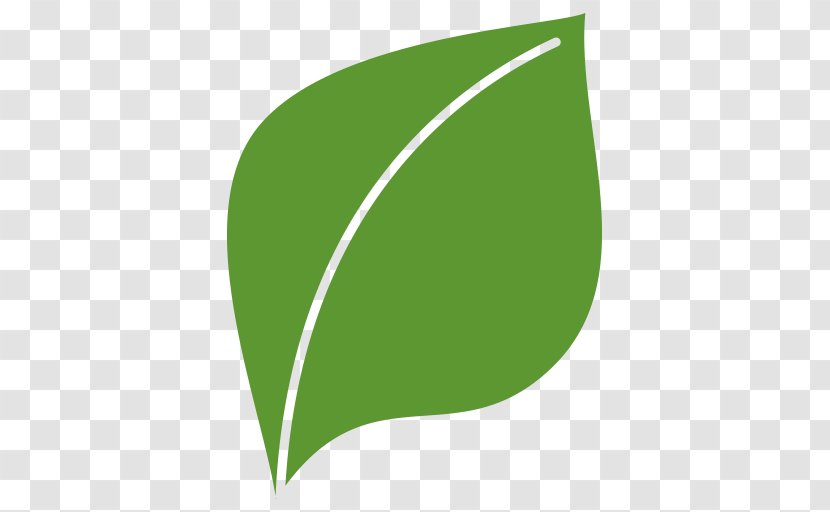 Schaumaplast Reilingen GmbH Sustainability Green Building Logo Rayons Verts - Brand - Leaf Transparent PNG