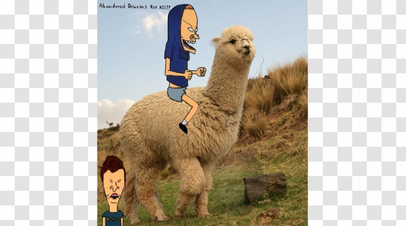 Butt-head Alpaca Beavis Llama - Butthead Transparent PNG