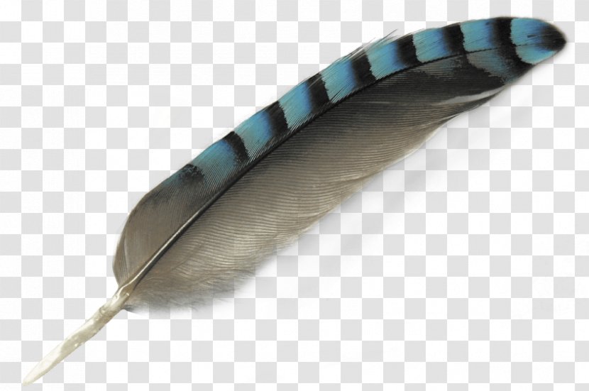 Writing Cartoon - Bird - Implement Pen Transparent PNG