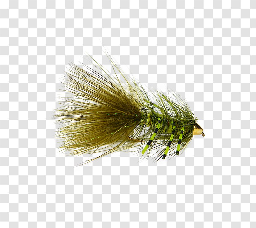 Artificial Fly Woolly Bugger Fishing Bead - Reels Transparent PNG