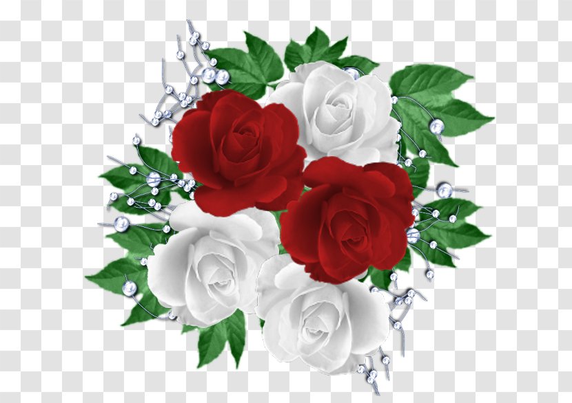 Garden Roses White Red Floribunda - Flowering Plant - Rose Transparent PNG