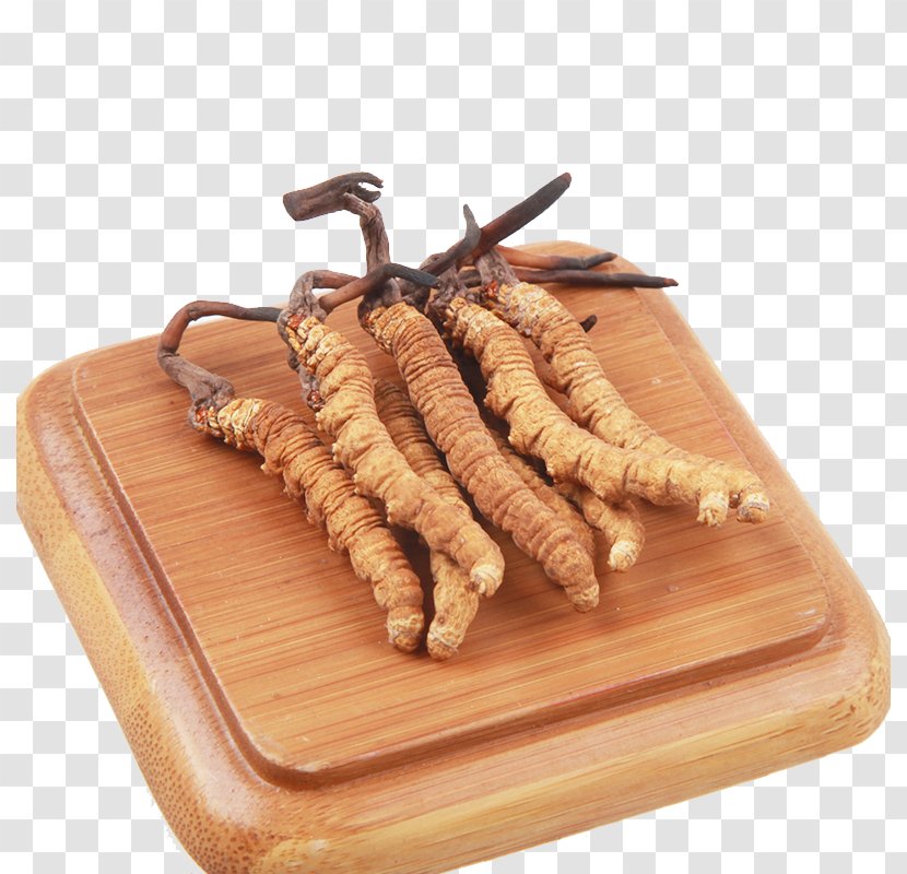 Yushu Tibetan Autonomous Prefecture Caterpillar Fungus Traditional Chinese Medicine Cordyceps - Herbs Transparent PNG