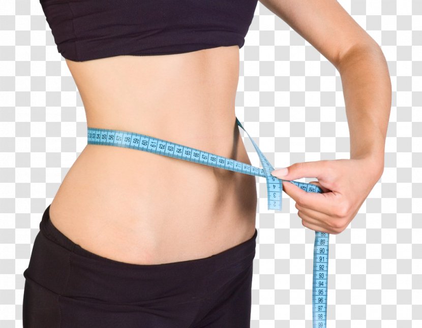 Weight Loss Conjugated Linoleic Acid Liposuction Adipose Tissue Cryolipolysis - Tree - Flower Transparent PNG