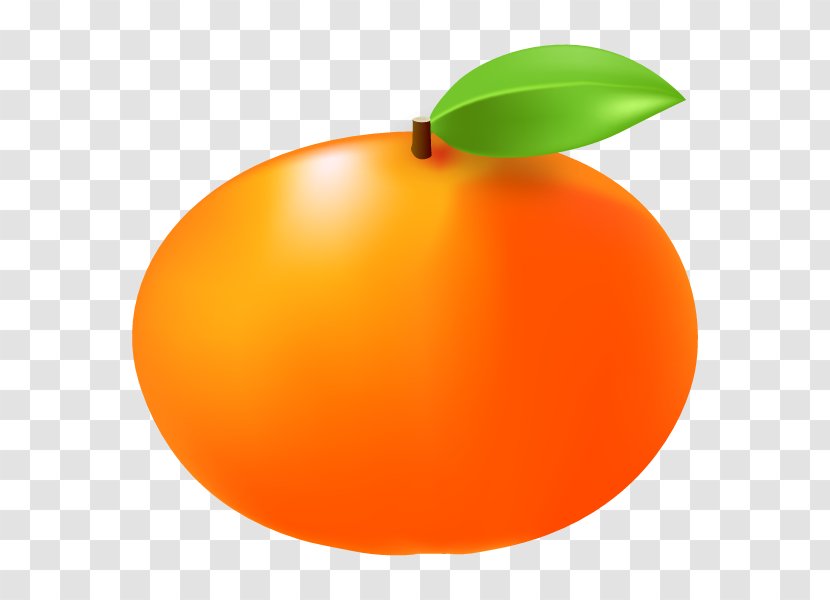 Japanese Persimmon Tangerine Illustration Fruit Mandarin Orange - Food - Satsuma Transparent PNG