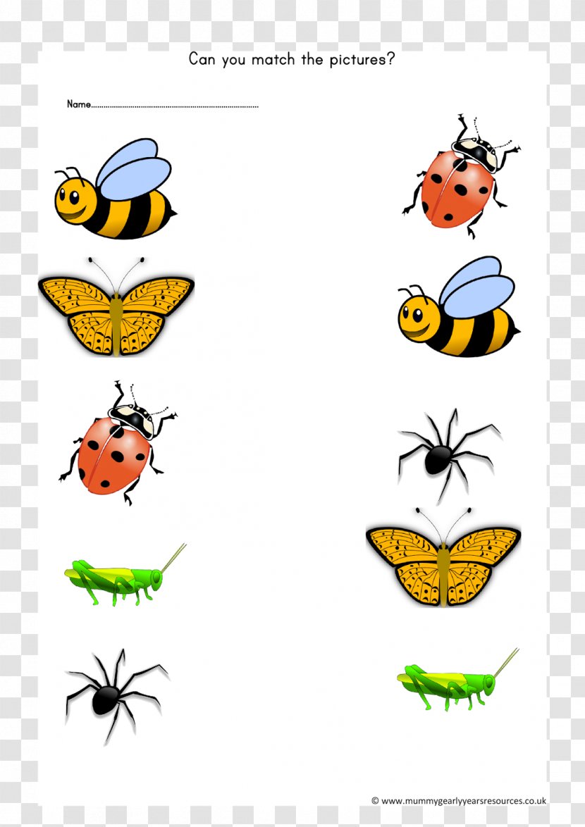 Honey Bee Clip Art Bumblebee Butterfly - Silhouette Transparent PNG