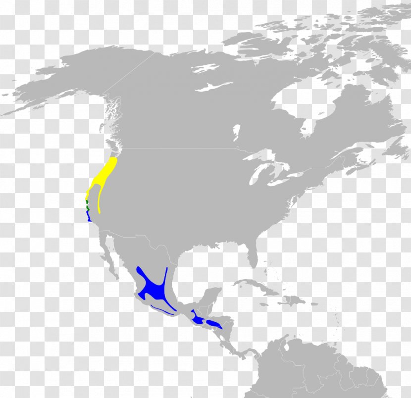 United States South America Blank Map Korea - Area Transparent PNG