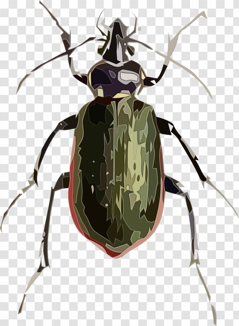 Leaf Fly - Longhorn Beetle - Jewel Bugs Transparent PNG