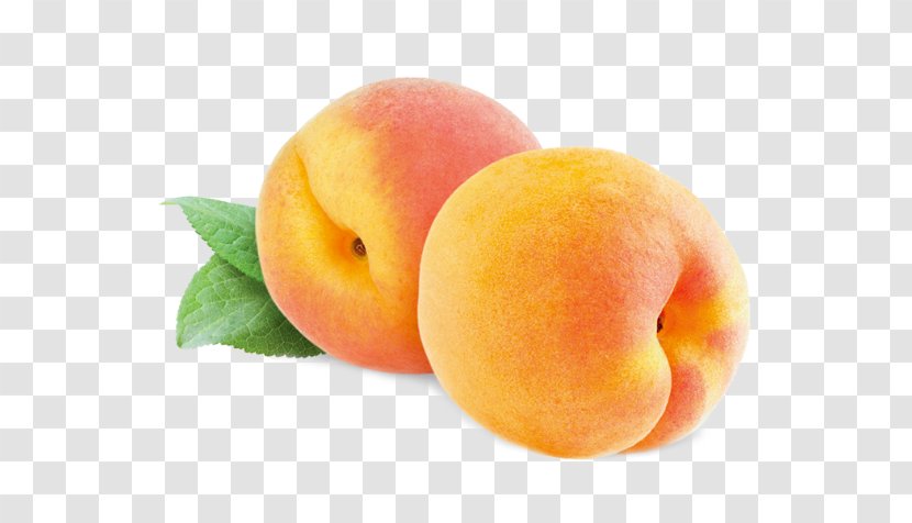 Cobbler Saturn Peach Food Juice - Apricot Transparent PNG