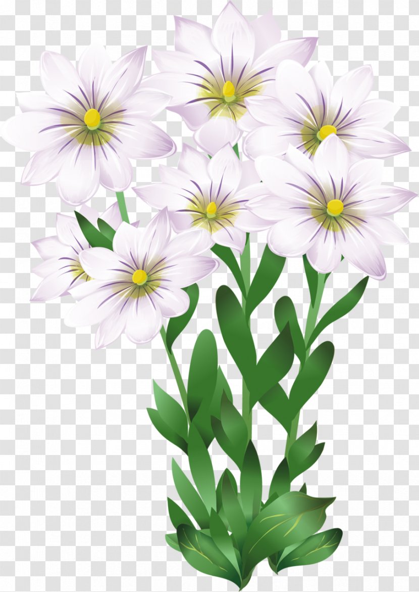 Photography Flower Clip Art - Paper - Drawing Transparent PNG