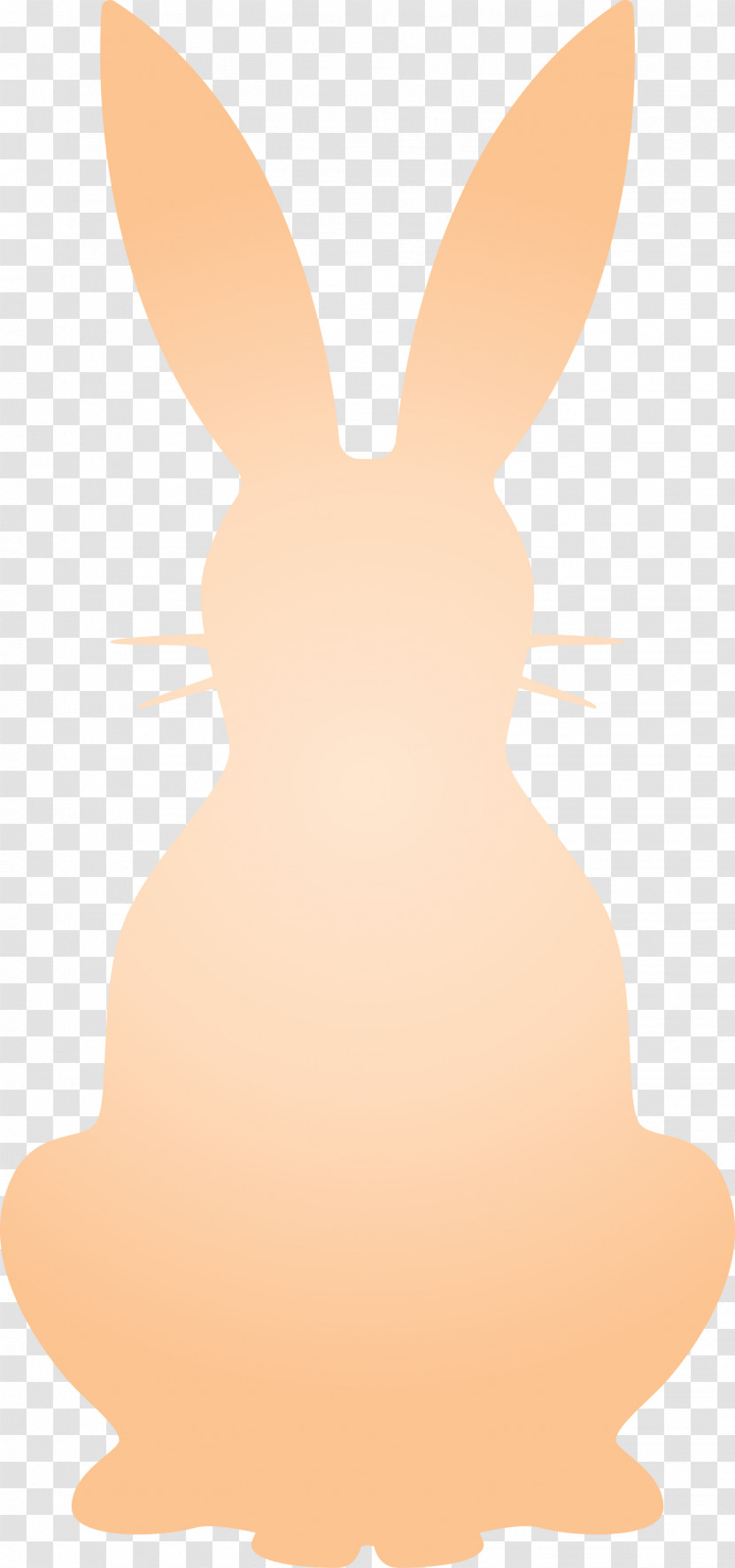 Easter Bunny Easter Day Rabbit Transparent PNG