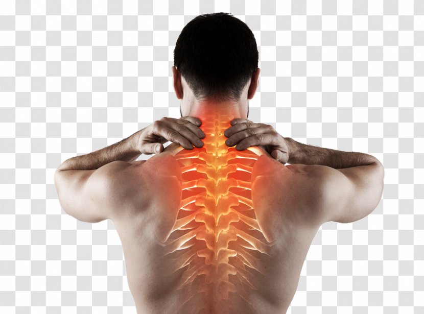 Neck Pain In Spine Cervical Vertebrae Chiropractic - Watercolor - Back Transparent PNG