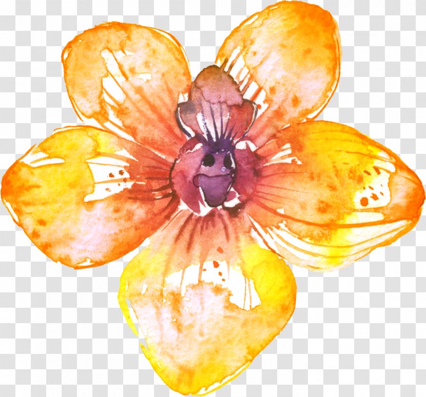 Flower Drawing - Flowers Creative Floral Patterns Transparent PNG