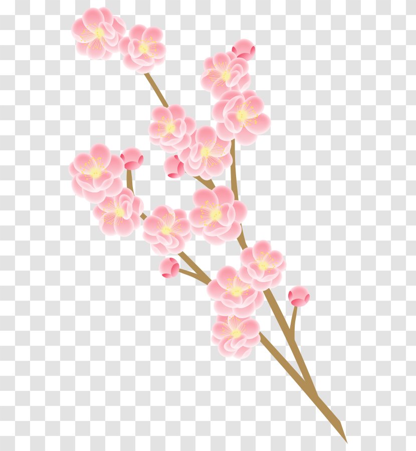 Photography Flower Peach Cherry Blossom - Flowering Plant - Spring Material Transparent PNG