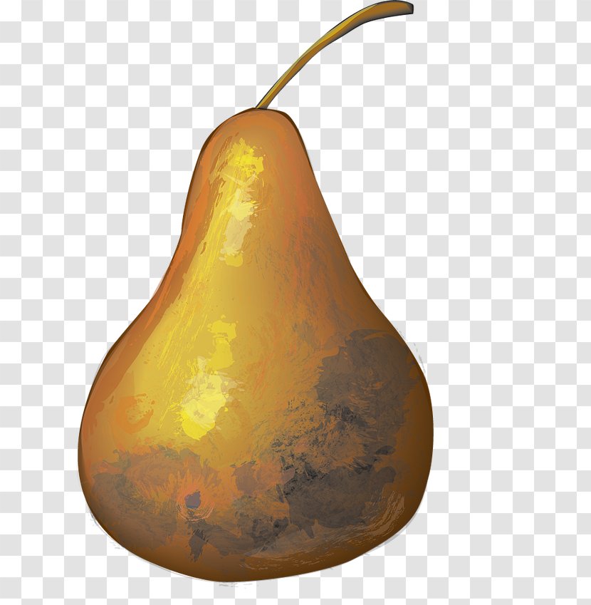 Pear Fruit Plant Butternut Squash - Food - Calabash Transparent PNG