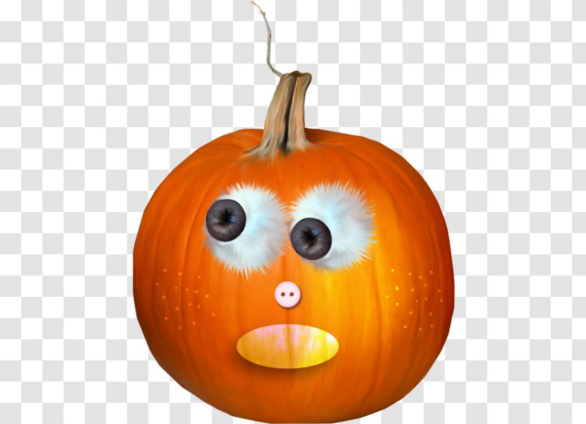Jack-o'-lantern Calabaza Gourd Pumpkin Winter Squash - Snout Transparent PNG