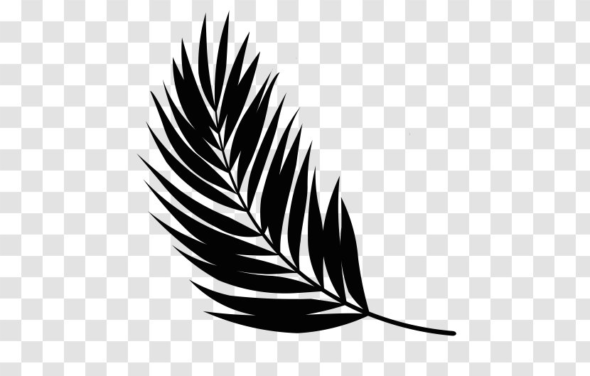 Feather Beak Leaf Noun Font - Wing - Yoga Therapies Transparent PNG