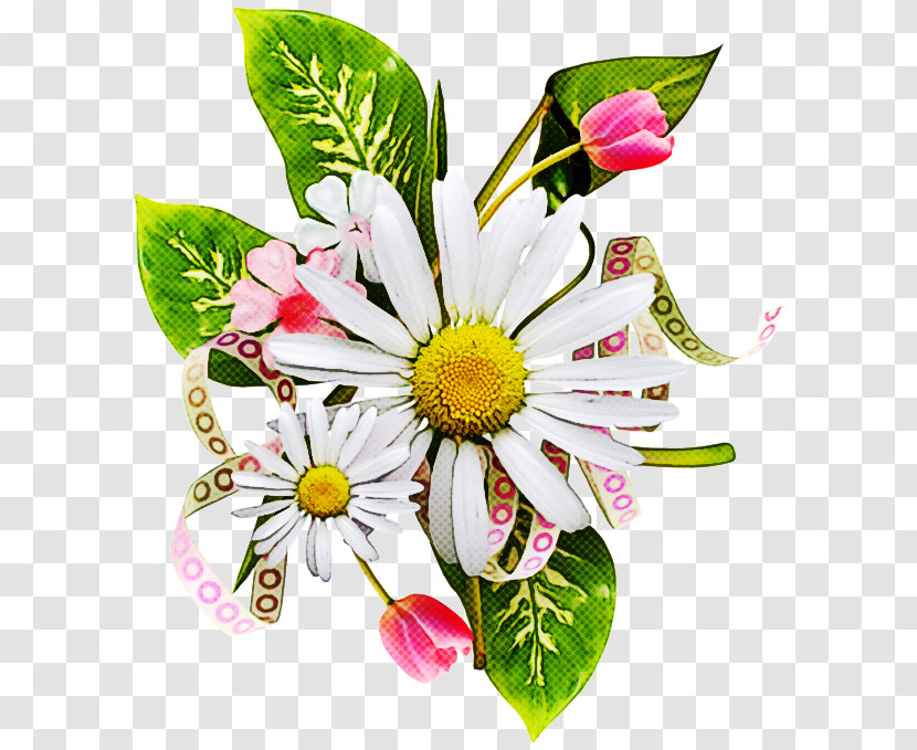 Floral Design Transparent PNG