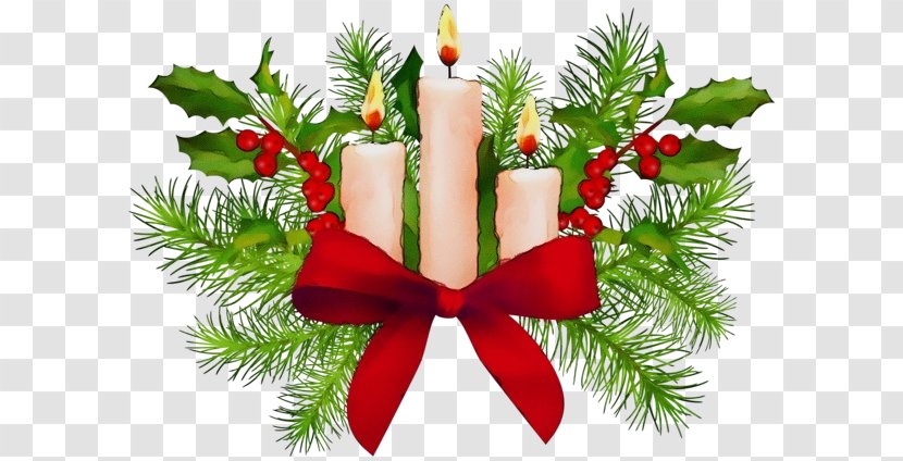 Christmas Decoration - Pine Branch Transparent PNG