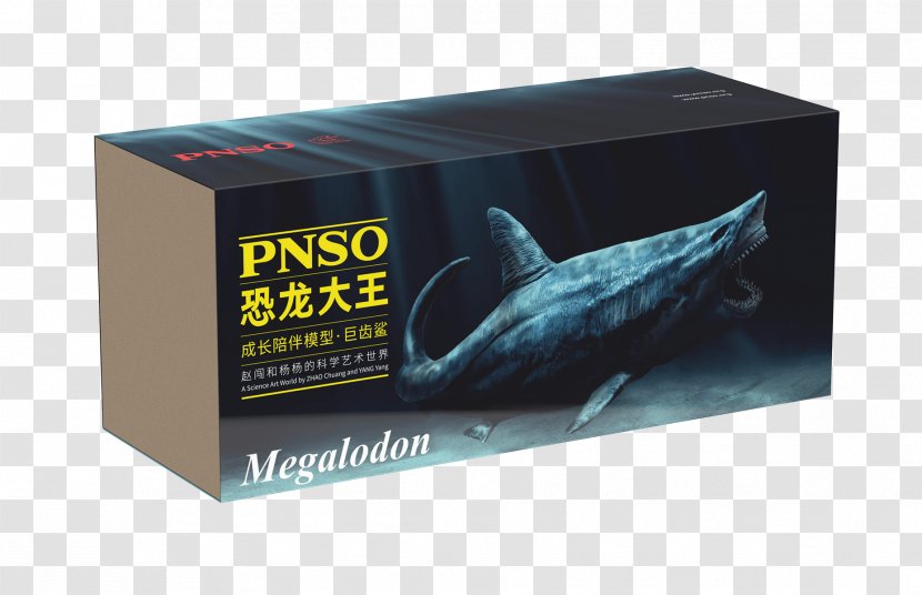 Shark Toy Megalodon Dinosaur Amazon.com - Fish Transparent PNG