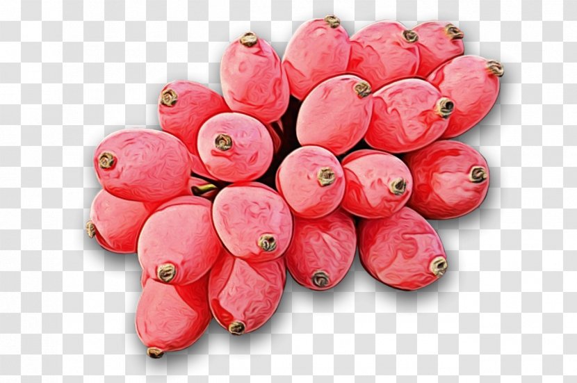Pink Plant Flower Fruit Food - Perennial Transparent PNG