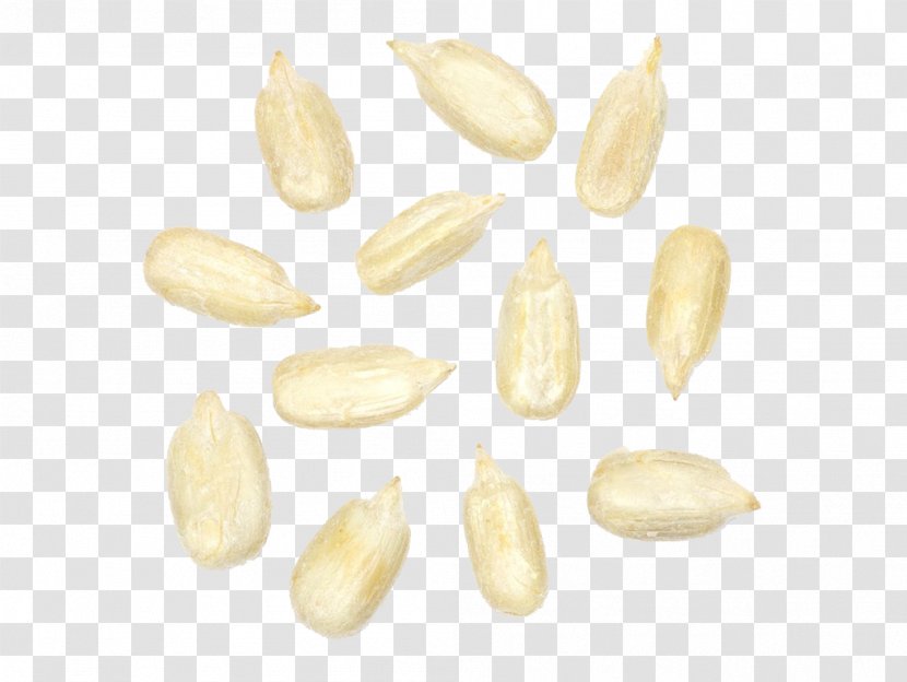 Commodity - White Melon Seeds Transparent PNG
