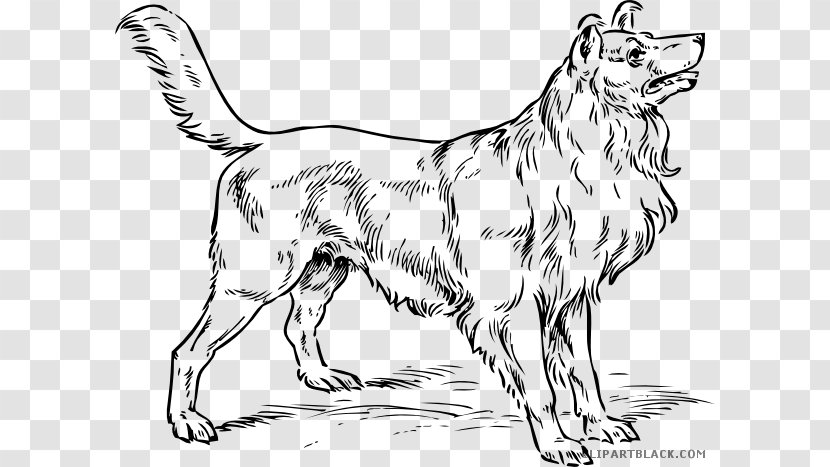 Rough Collie Puppy Clip Art Vector Graphics Openclipart - Dog Breed Group Transparent PNG