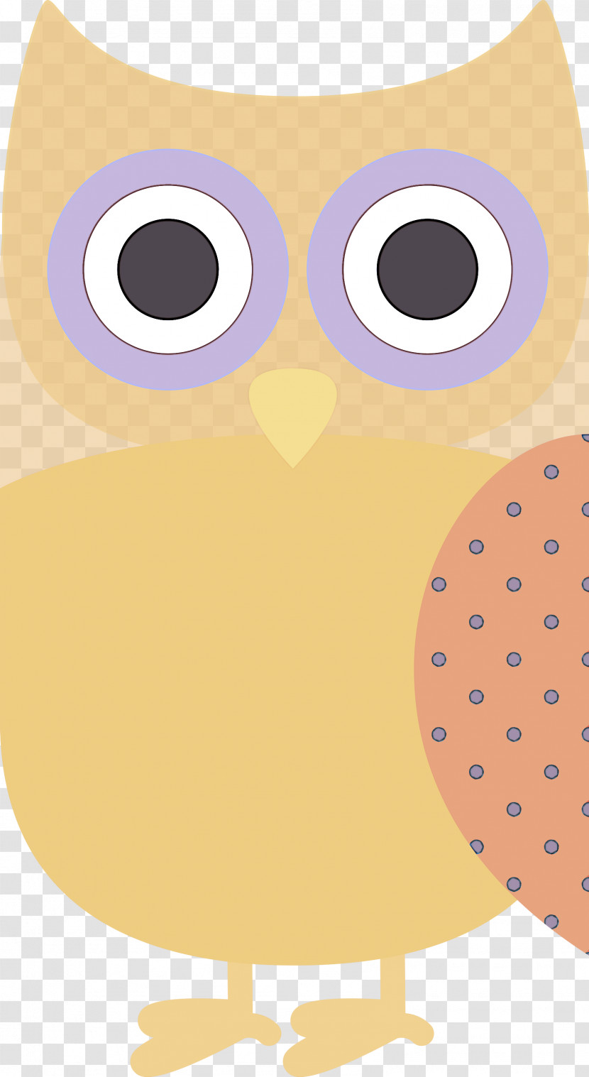 Owls Beak Snout Cartoon Meter Transparent PNG