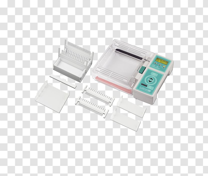 Electrophoresis Gel Polymerase Chain Reaction DNA Chemistry - Enduro - Rimowa North America Inc Transparent PNG