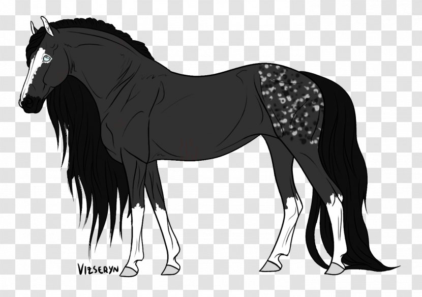 Foal Stallion Mare Mustang Colt - Scar Tissue Transparent PNG