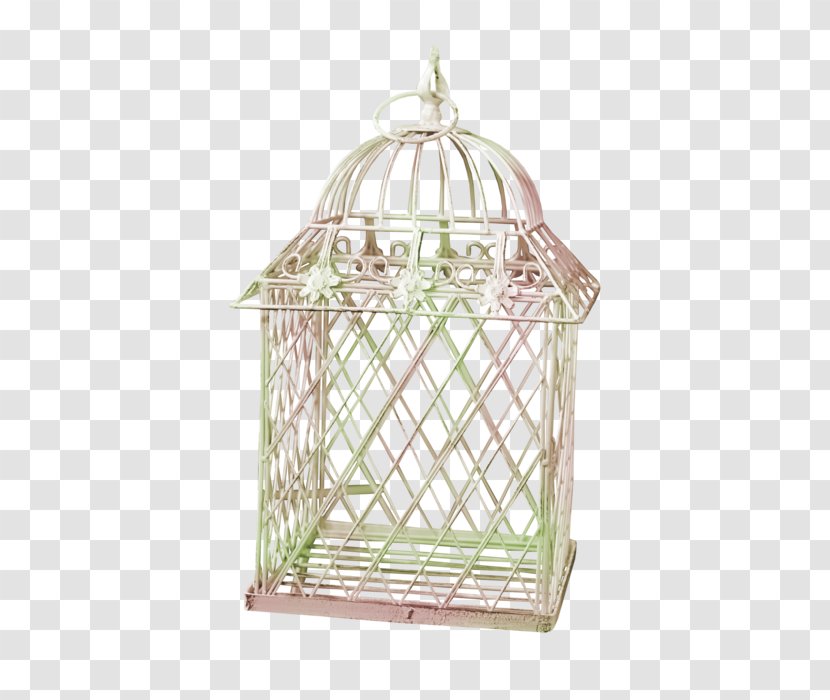 Birdcage - Nest - Bird Transparent PNG