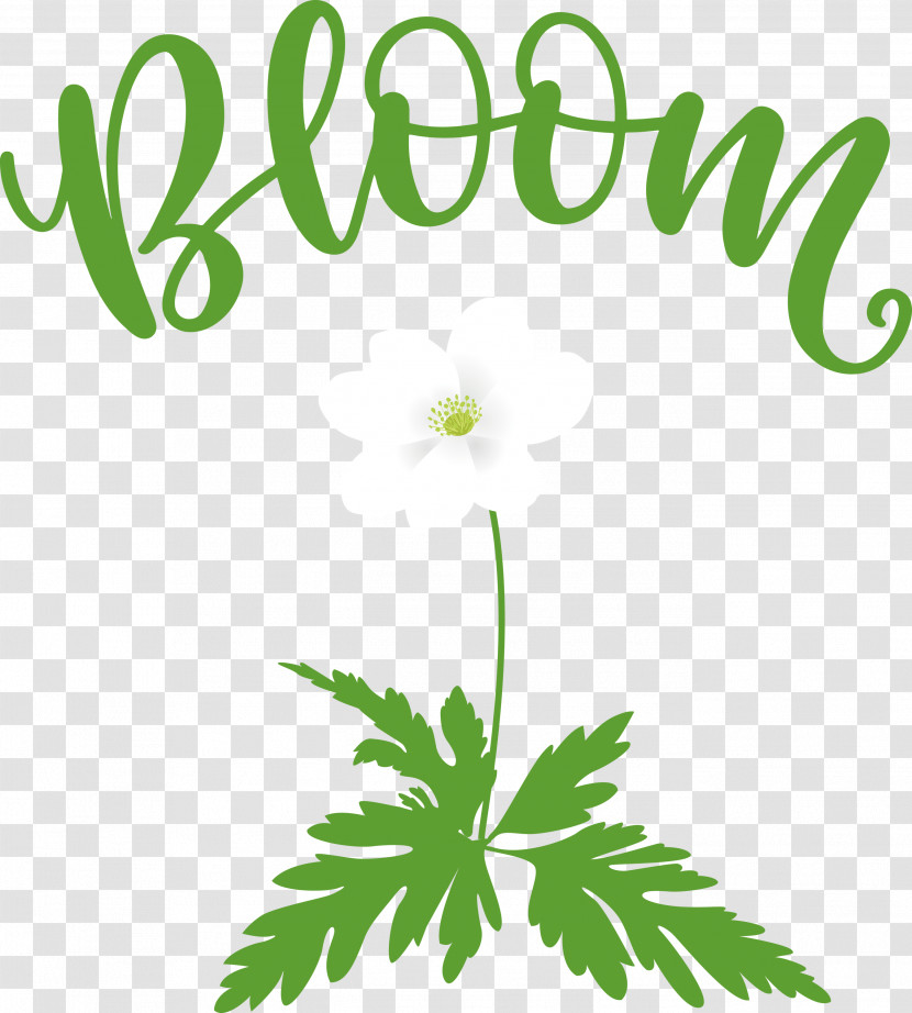 Bloom Spring Flower Transparent PNG