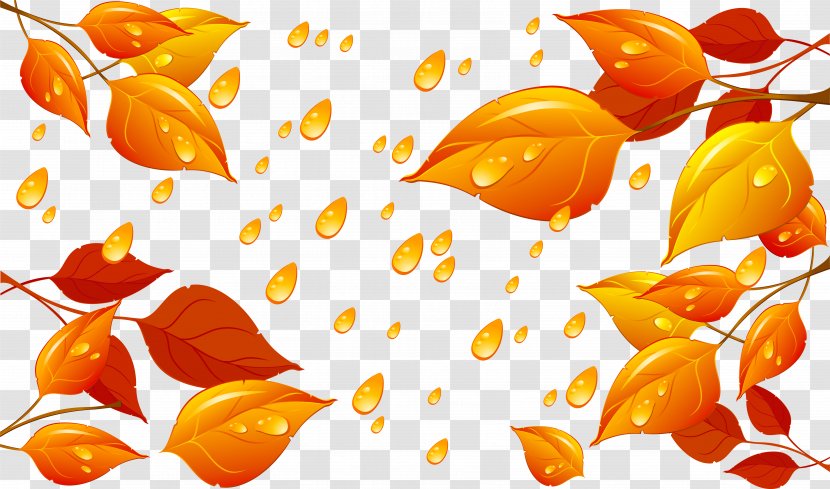 Rain Autumn Drop - Vegetable Transparent PNG