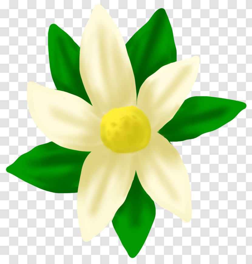 Flowering Plant - Yellow - Flower Transparent PNG